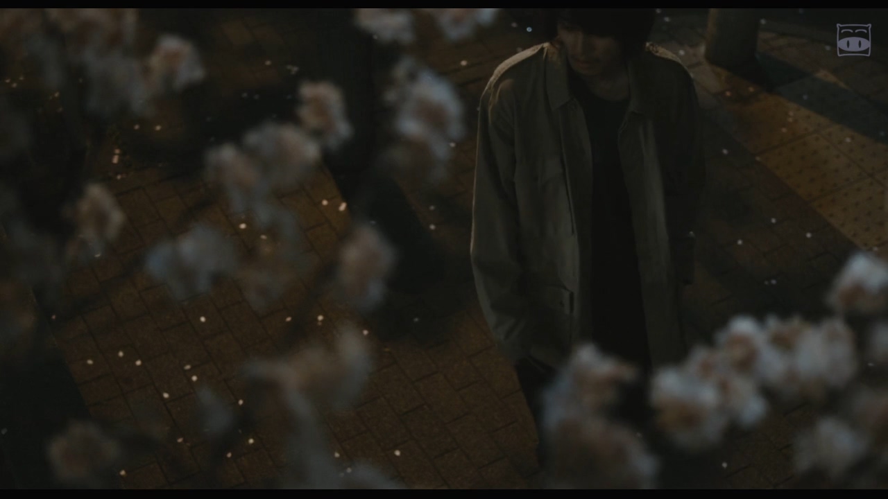 剧场剧照的剧照