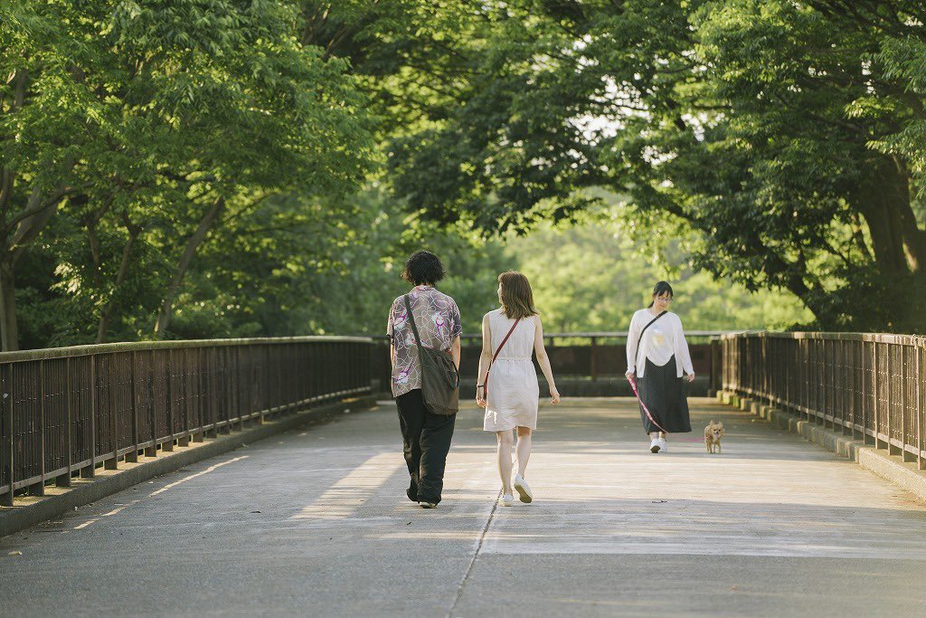 剧场剧照的剧照