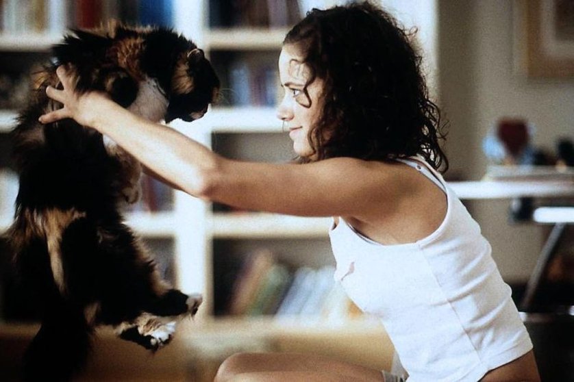 吻我吧，青蛙王子剧照的剧照