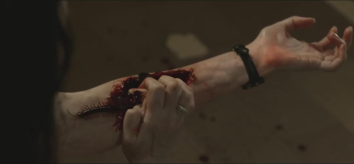 新版降头女王剧照的剧照