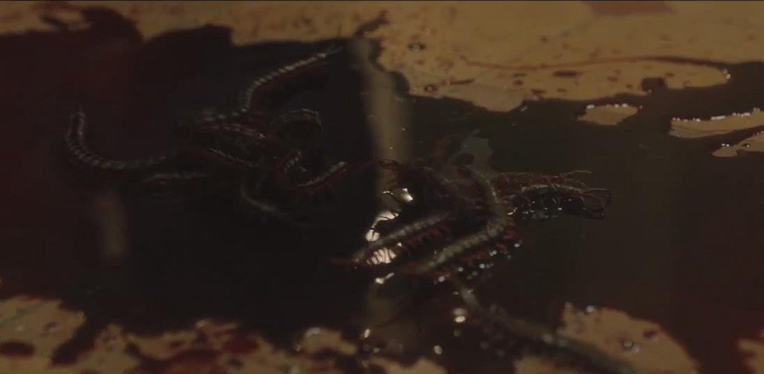 新版降头女王剧照的剧照