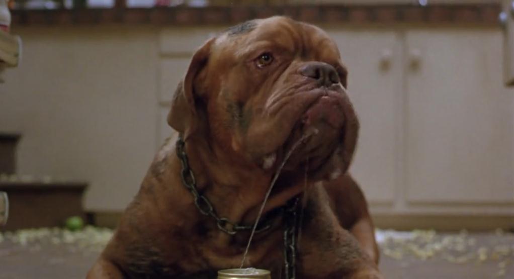 古惑丑拍档剧照的剧照