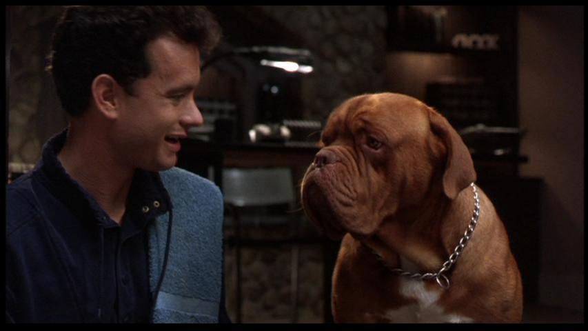 古惑丑拍档剧照的剧照