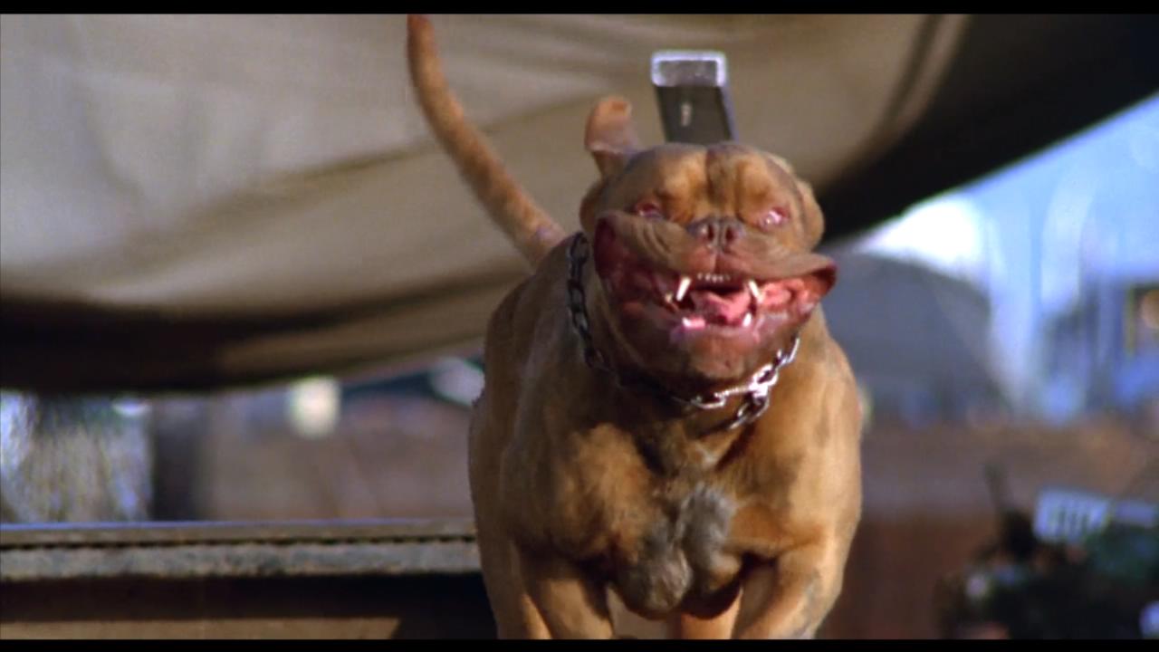 古惑丑拍档剧照的剧照