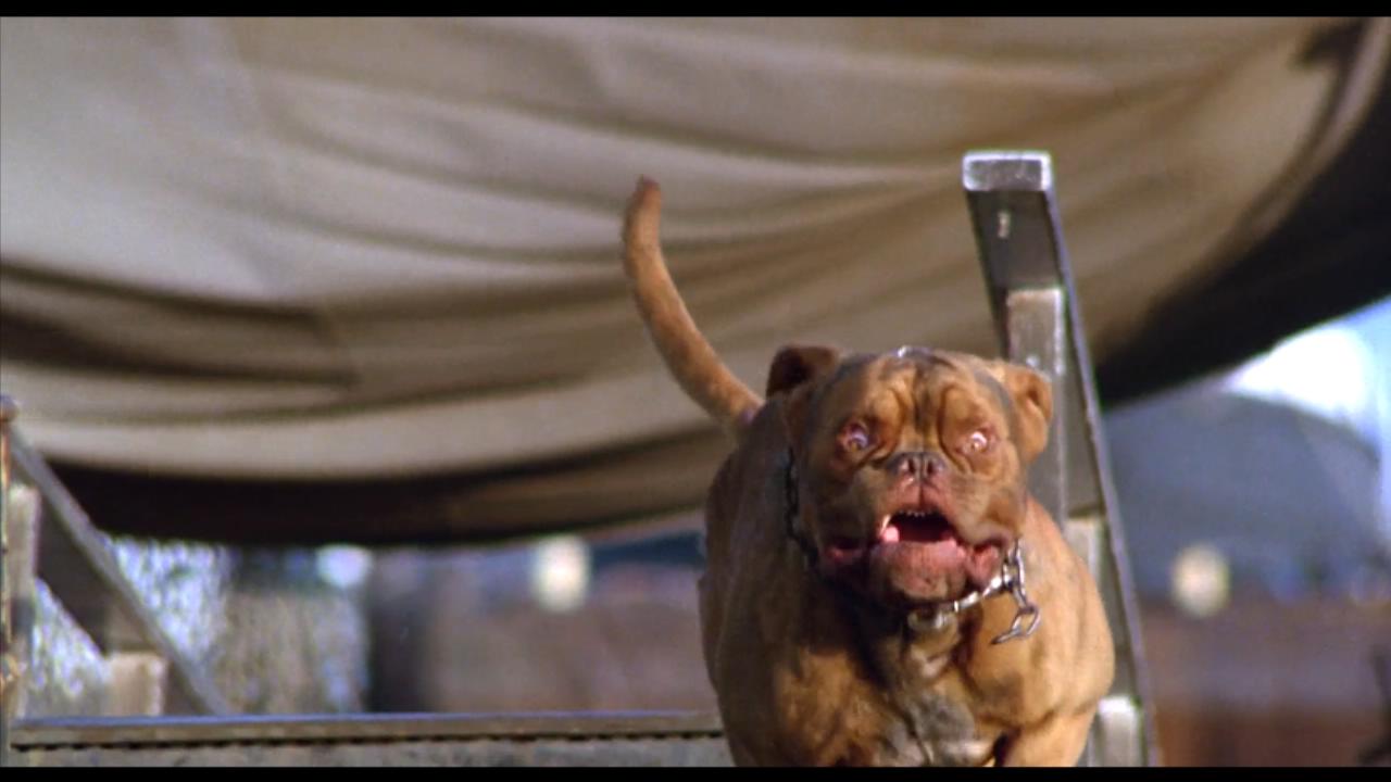 古惑丑拍档剧照的剧照