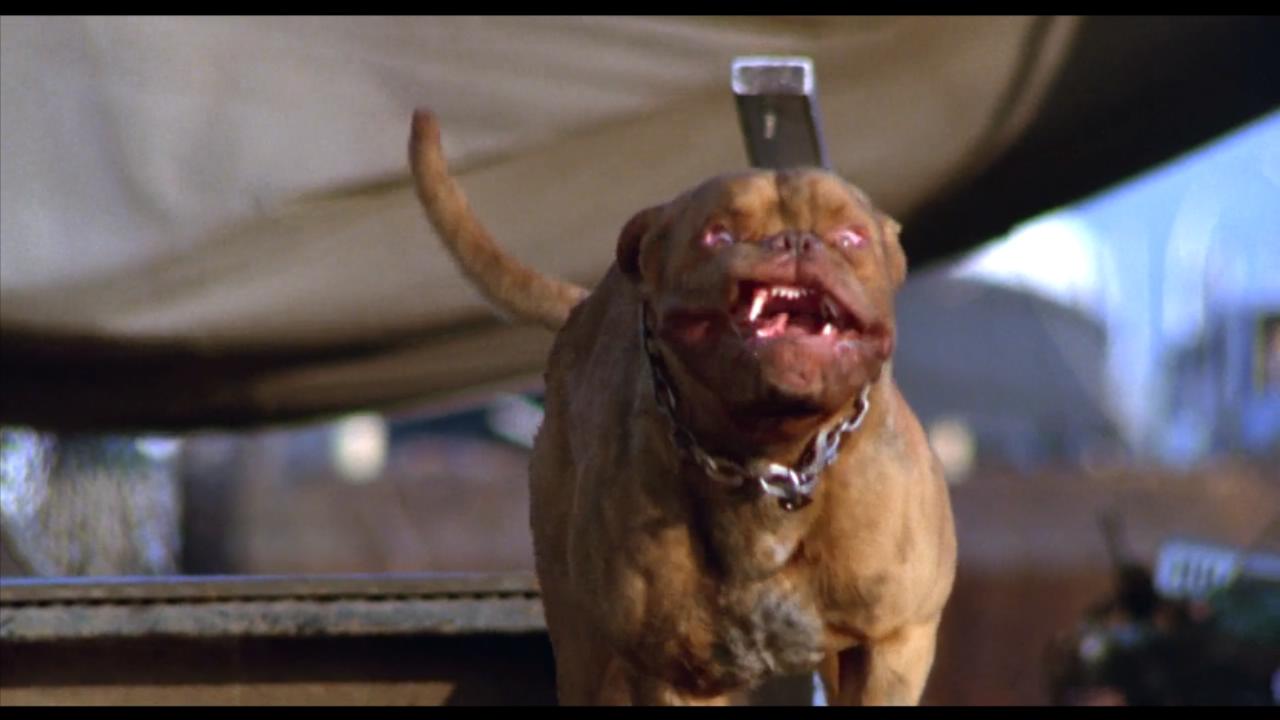 古惑丑拍档剧照的剧照