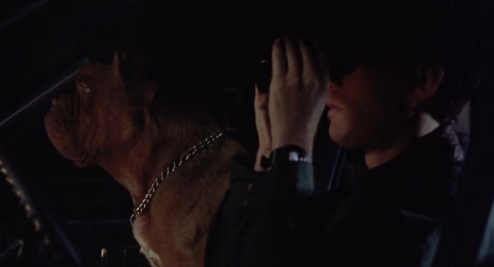 古惑丑拍档剧照的剧照