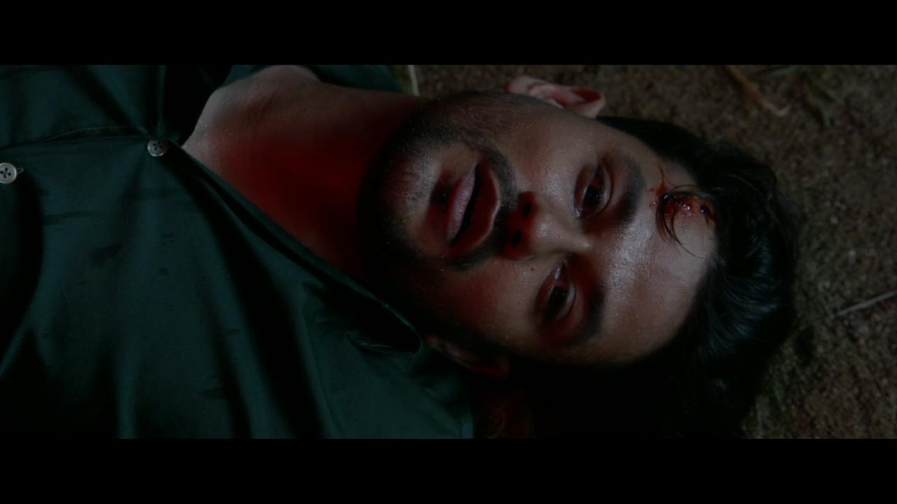 疯狂流浪者剧照的剧照