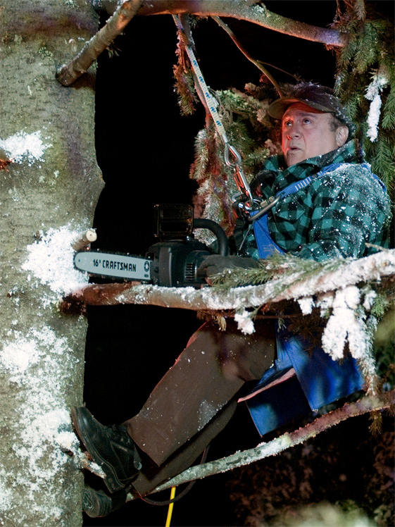 闪亮的圣诞节剧照的剧照