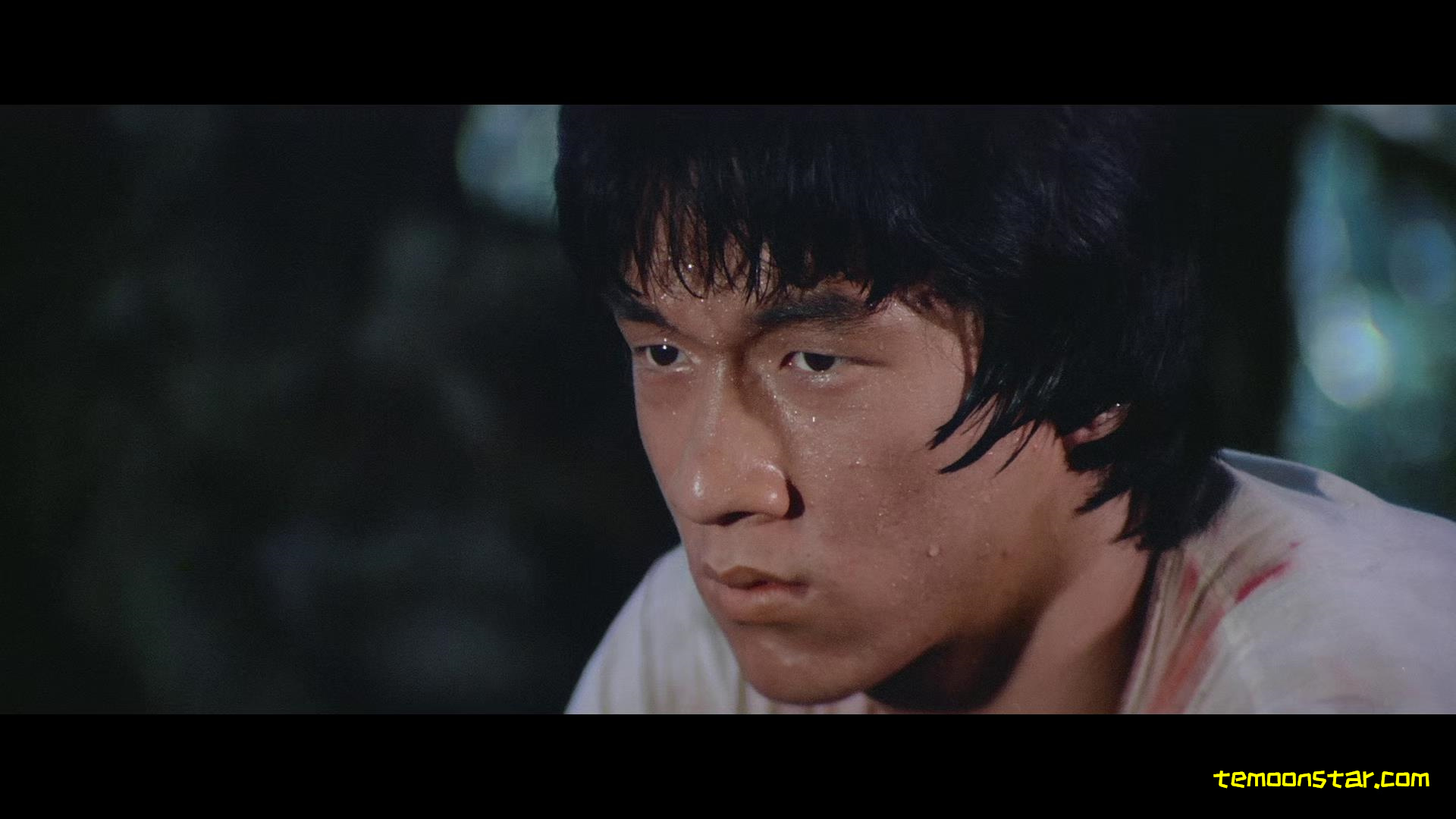 少林木人巷剧照的剧照