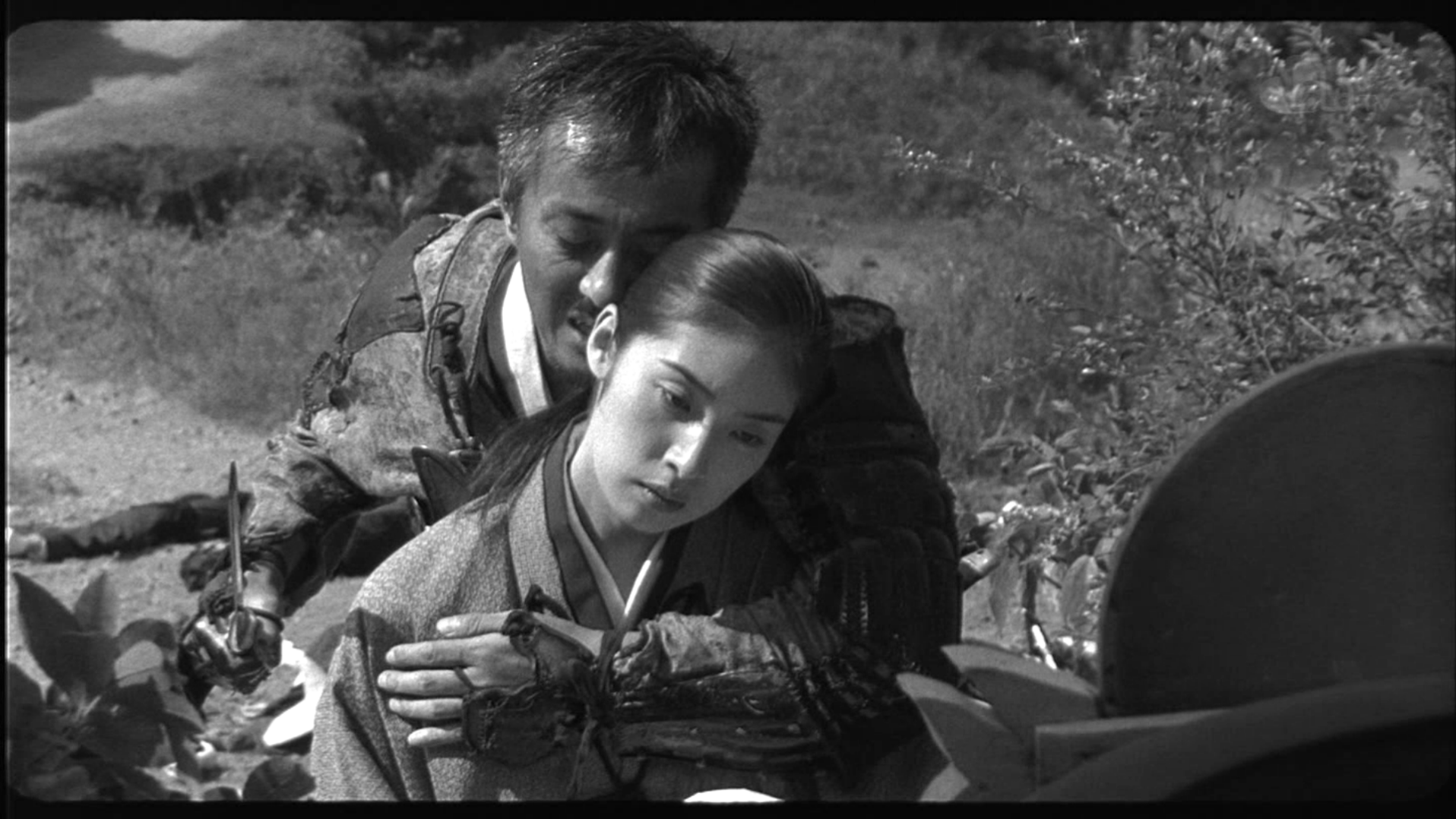 狗神剧照的剧照