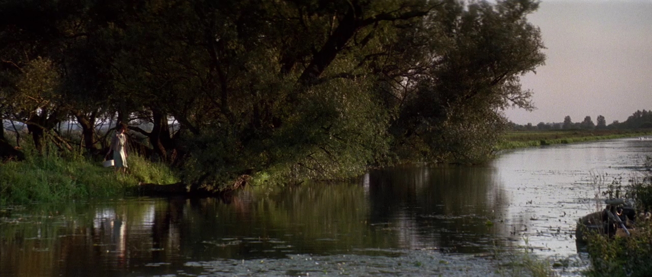 水乡迷情剧照的剧照