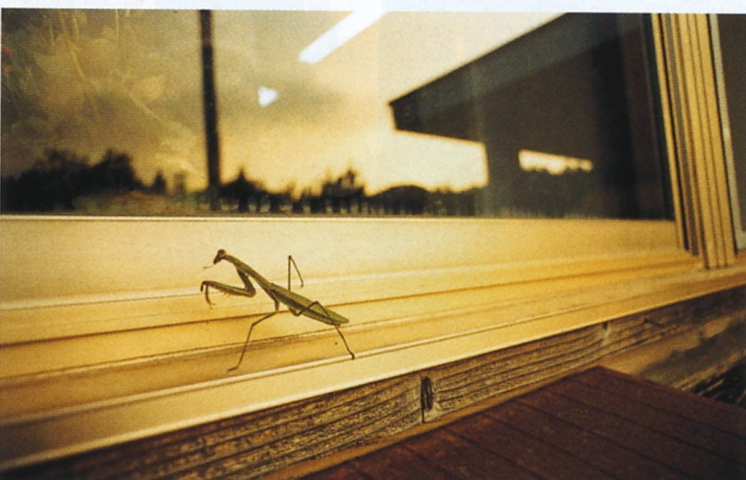天然子结构剧照的剧照