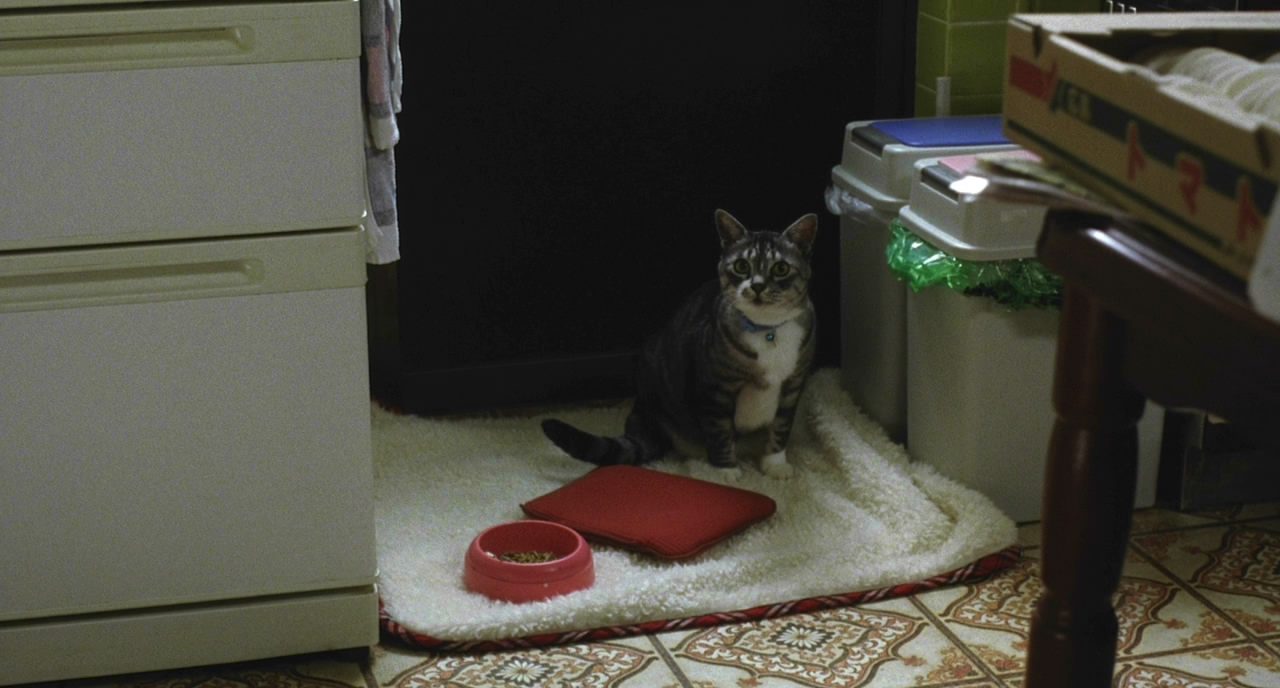 天然子结构剧照的剧照