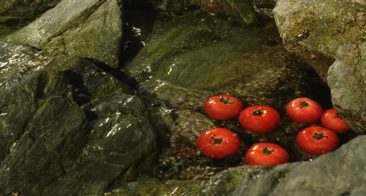 天然子结构剧照的剧照