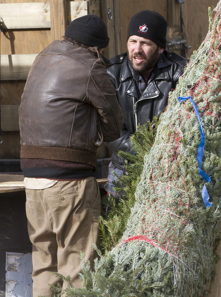 谁来买我的圣诞树剧照的剧照