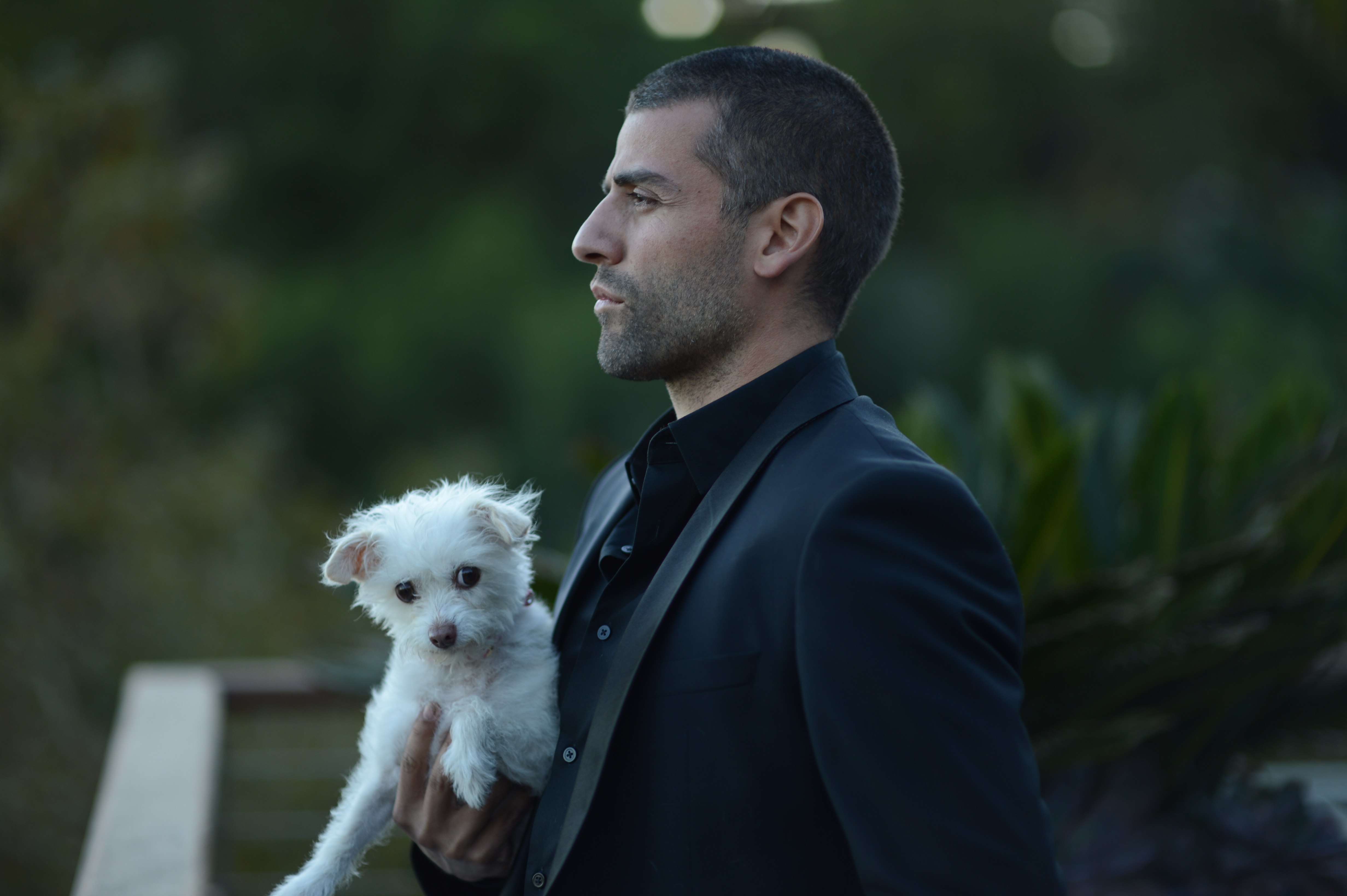 莫哈维沙漠剧照的剧照