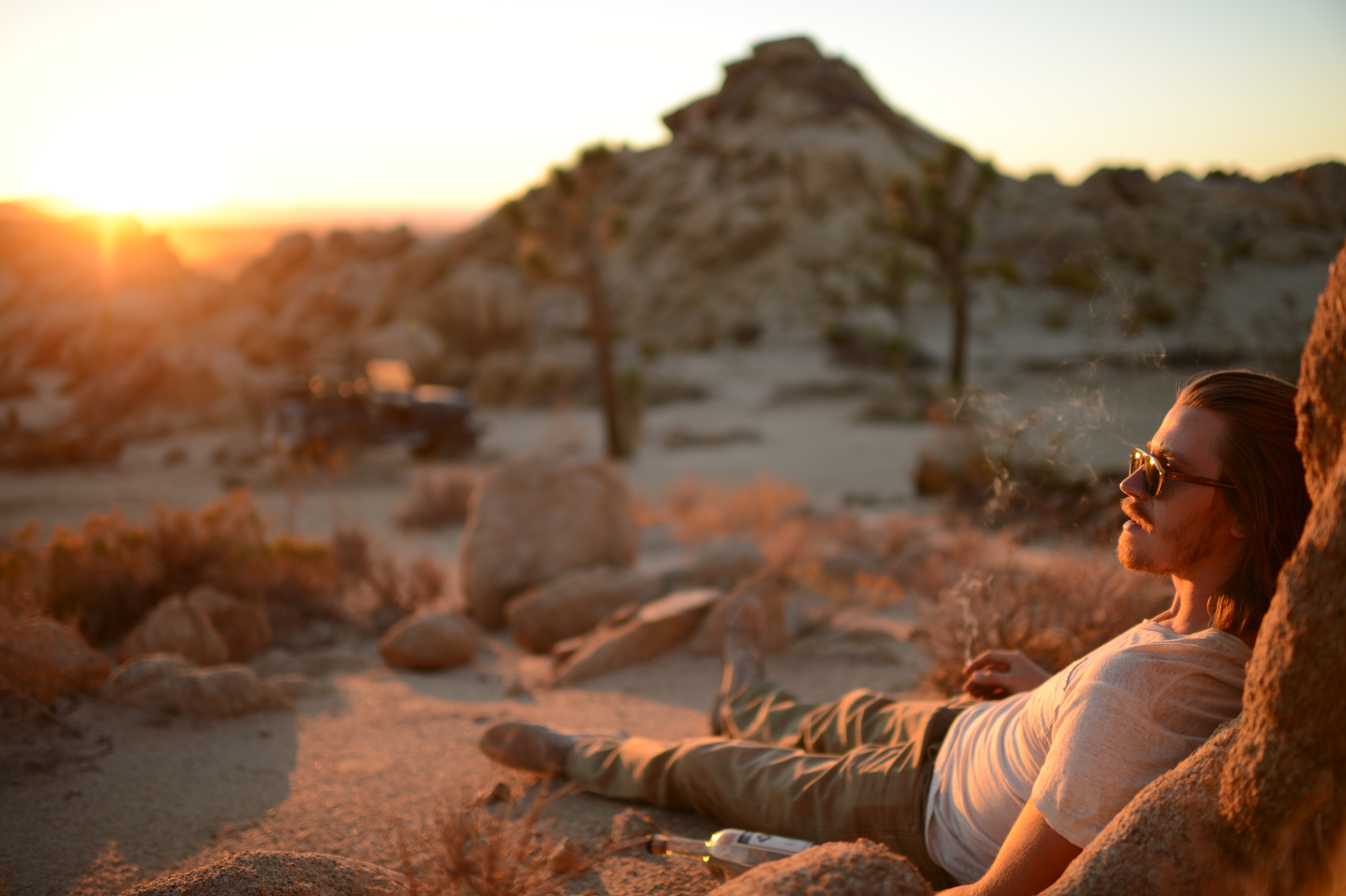 莫哈维沙漠剧照的剧照