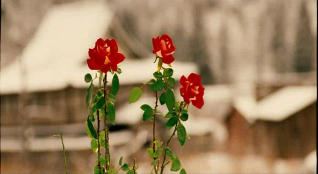 寿喜烧西部片剧照的剧照