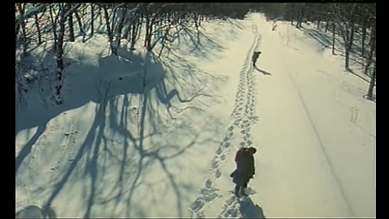 火狐剧照的剧照