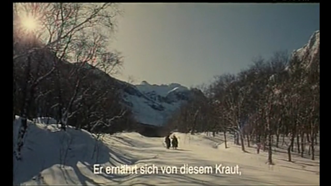 火狐剧照的剧照