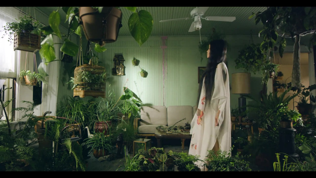 输入输出剧照的剧照