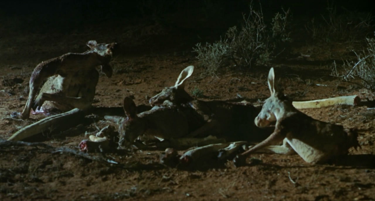 内陆惊魂剧照的剧照