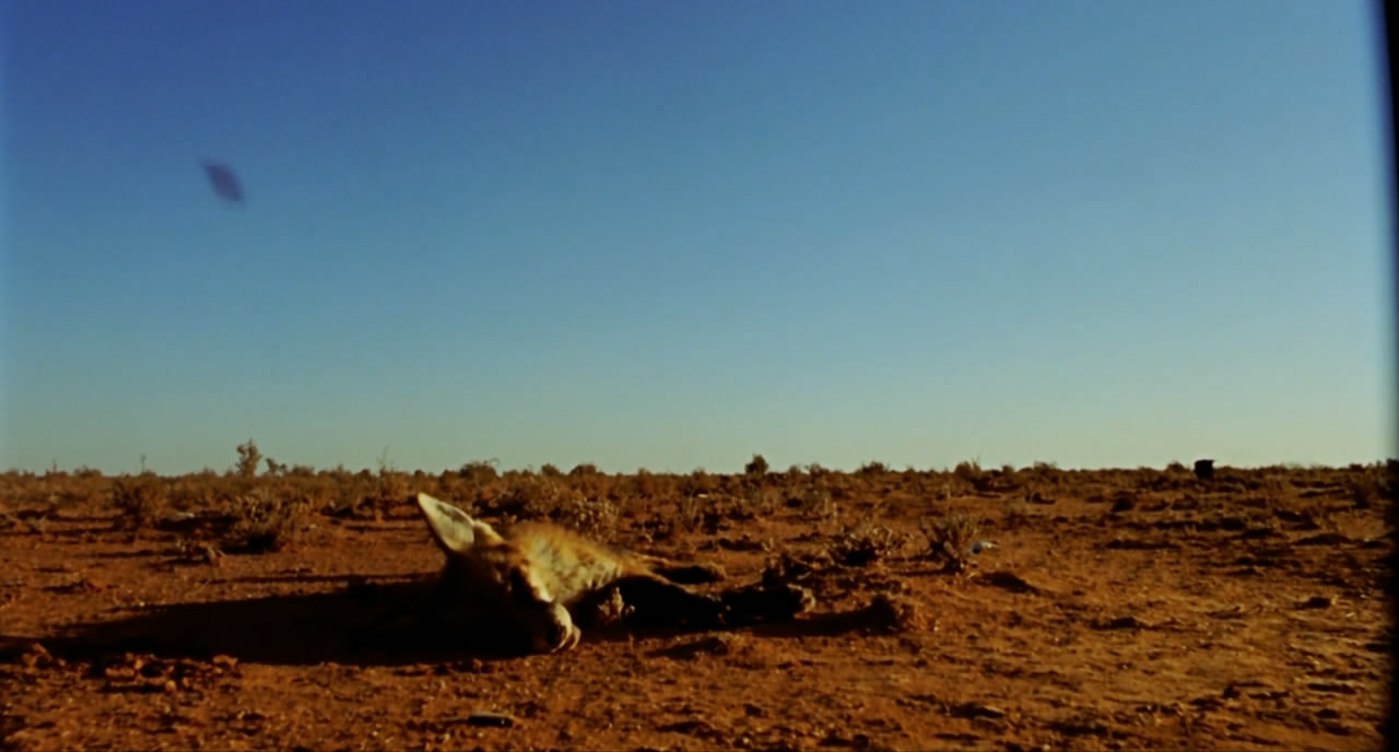内陆惊魂剧照的剧照