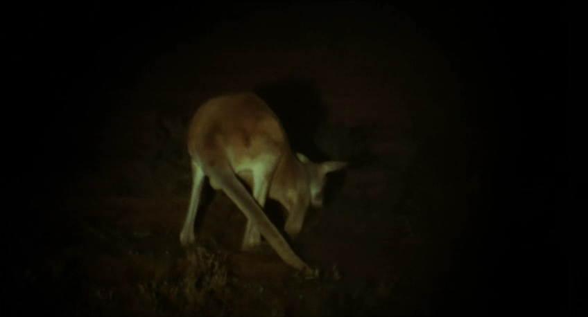 内陆惊魂剧照的剧照