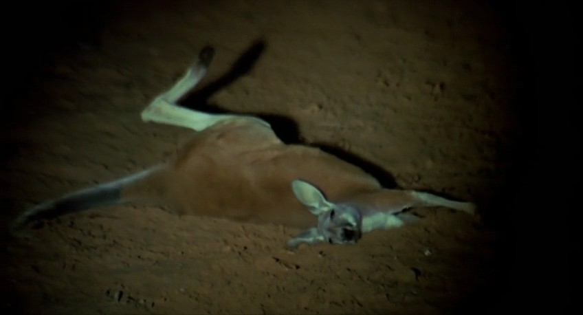 内陆惊魂剧照的剧照