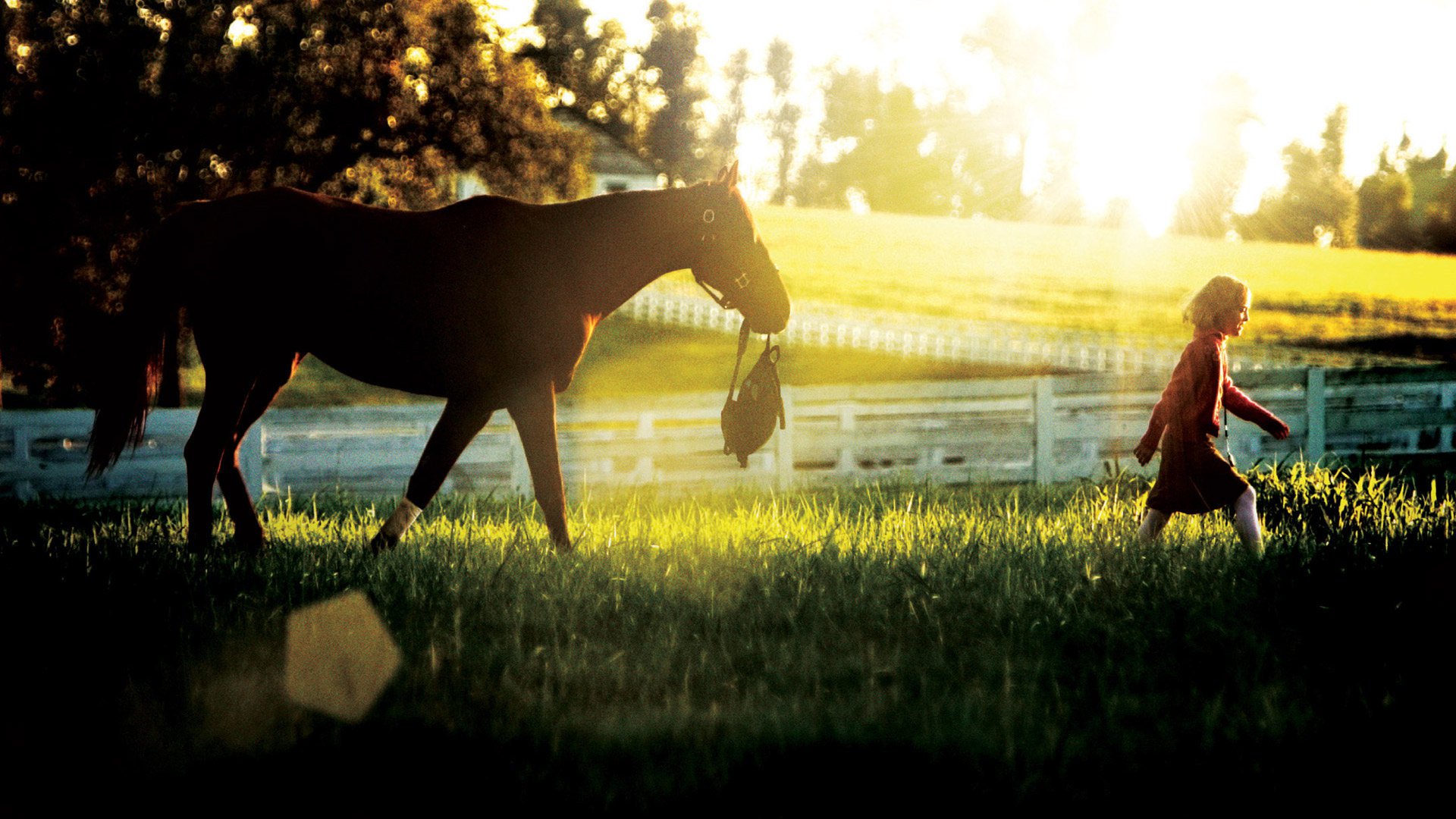 梦想奔驰剧照的剧照