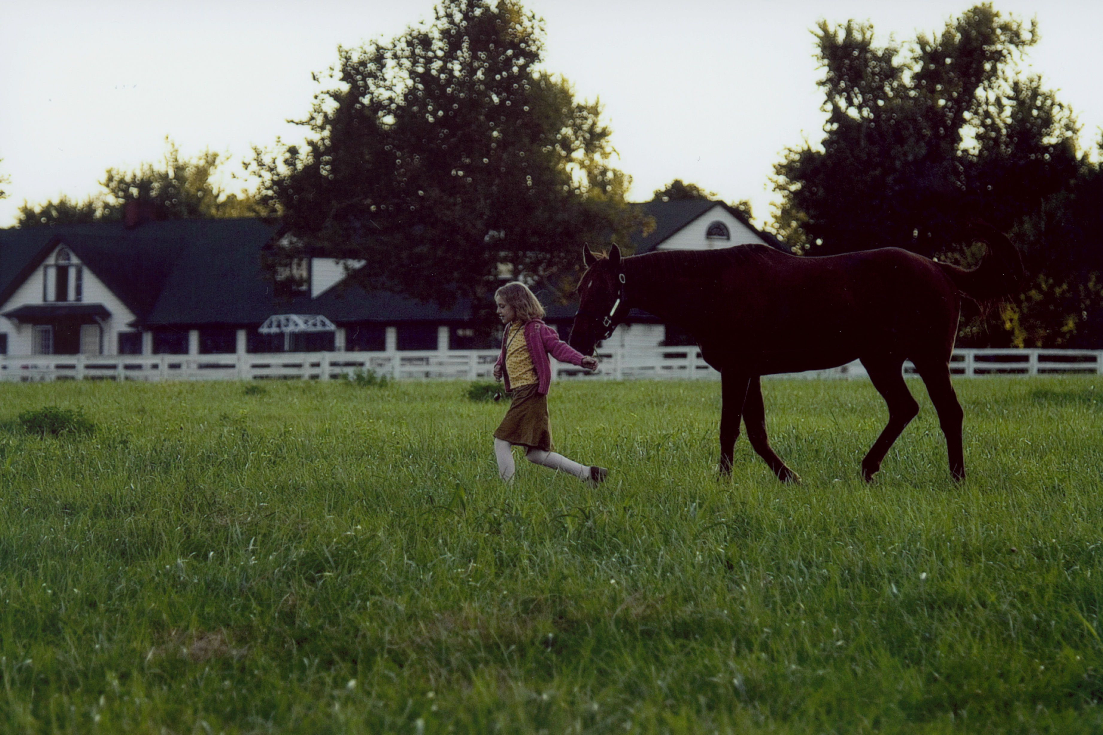 梦想奔驰剧照的剧照