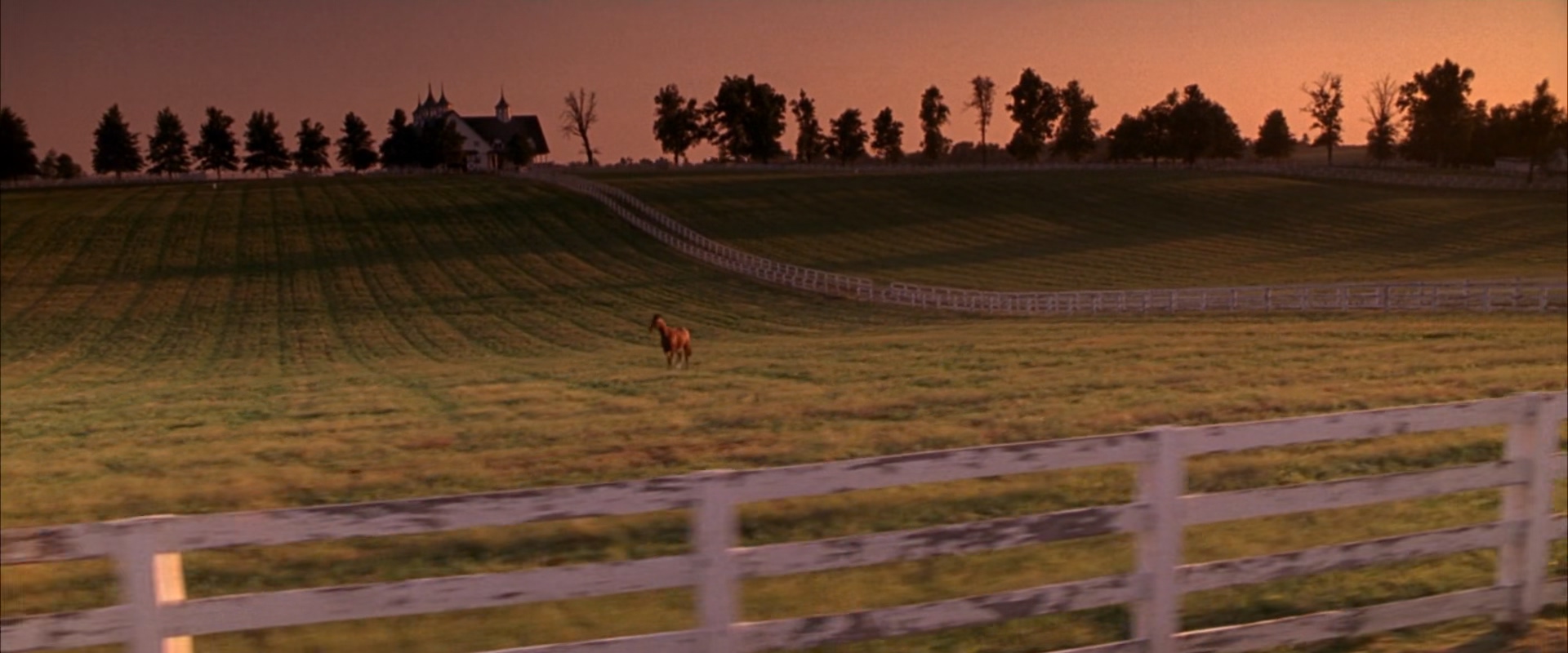 梦想奔驰剧照的剧照