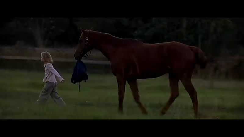 梦想奔驰剧照的剧照