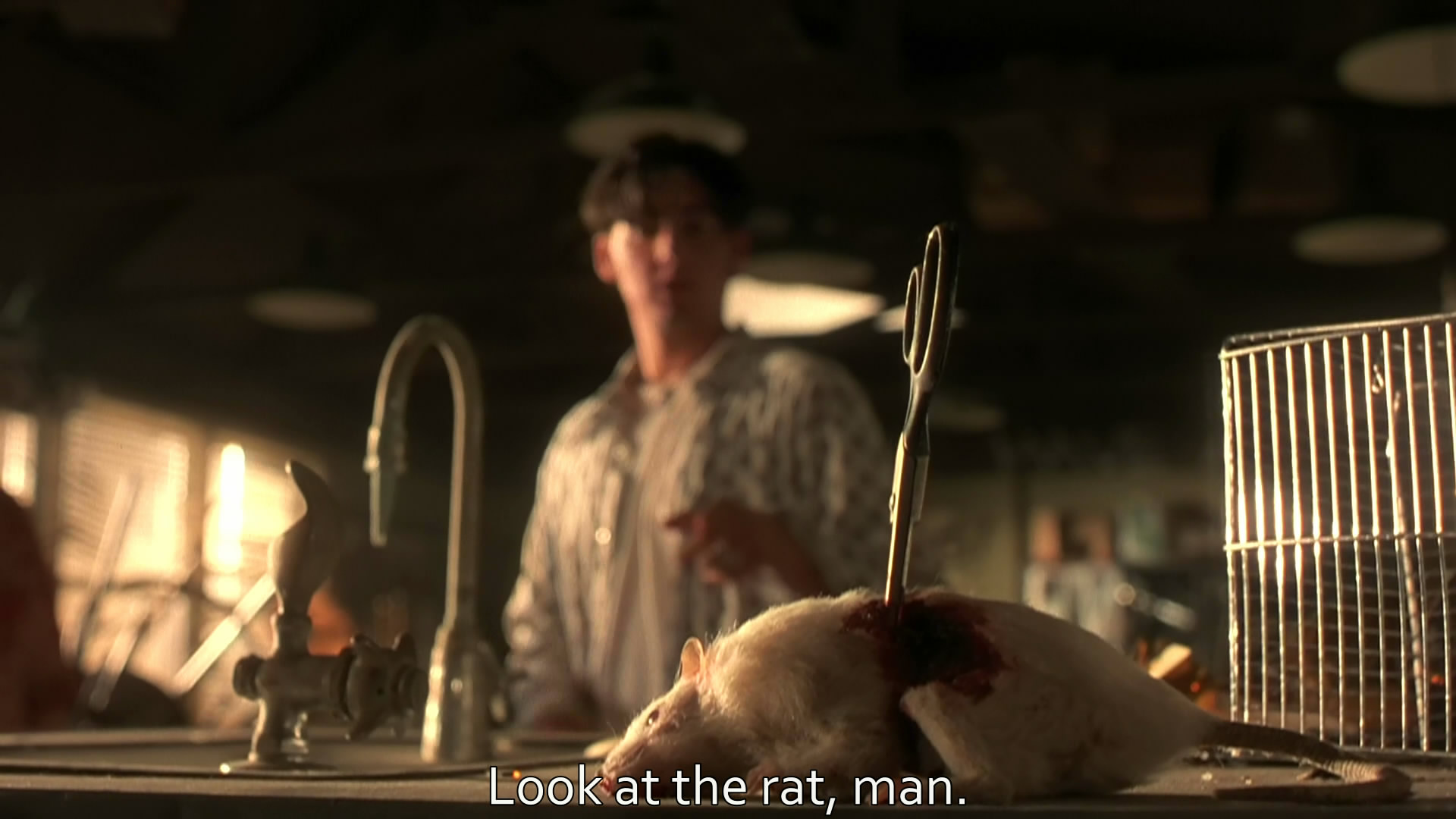 187美国社会档案剧照的剧照