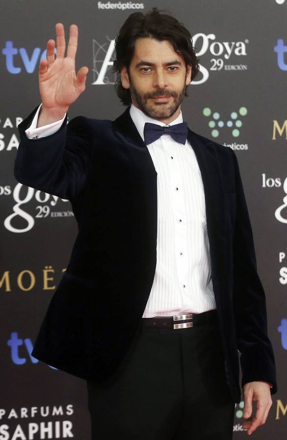 第29届戈雅奖颁奖典礼剧照的剧照