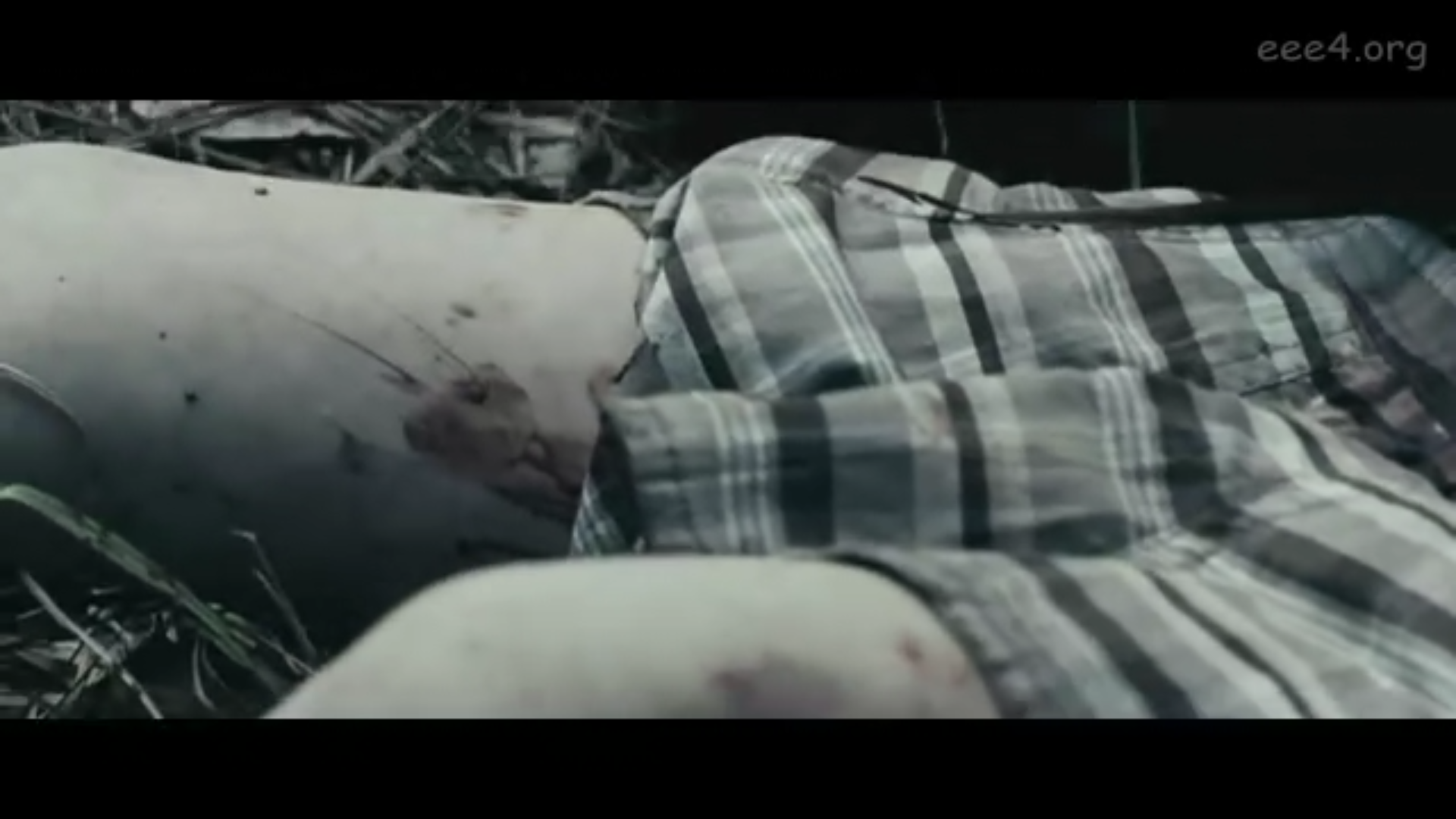 七日复仇剧照的剧照