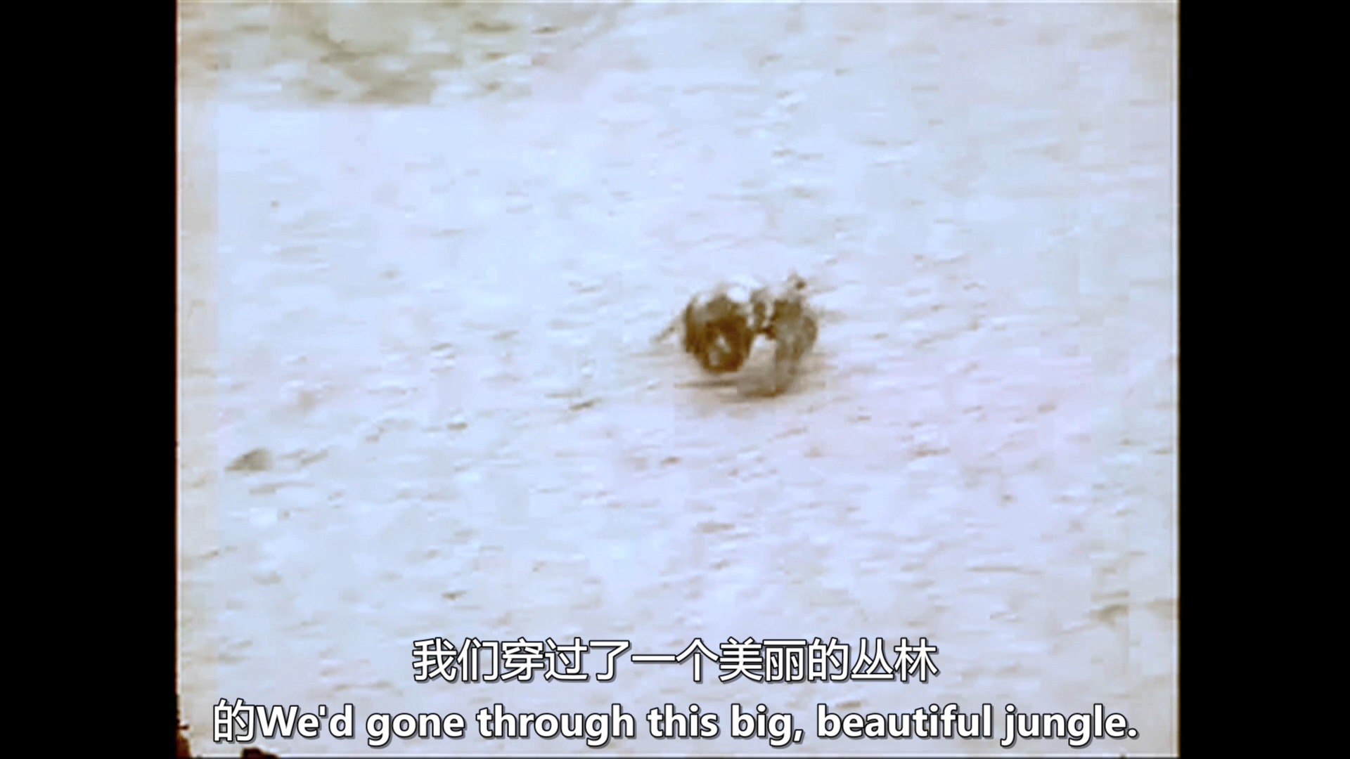 第237号房间剧照的剧照