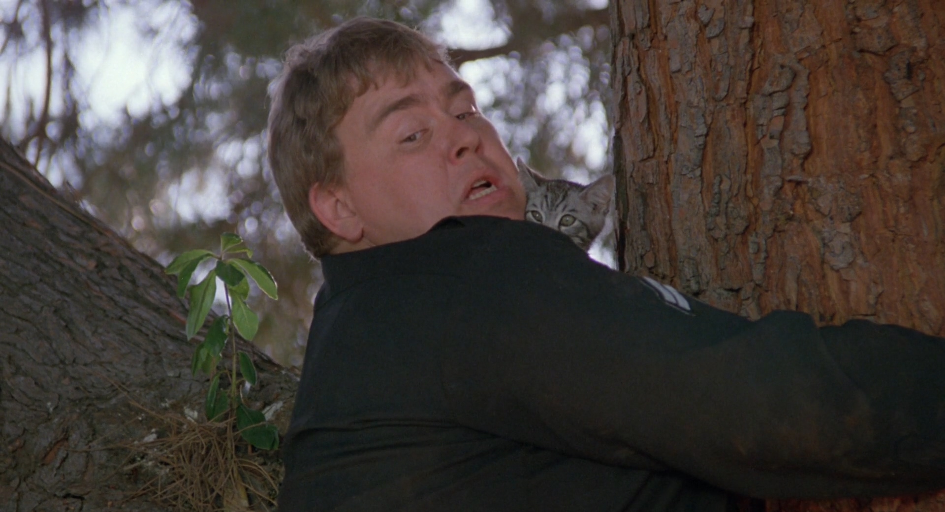 霹雳保镖剧照的剧照