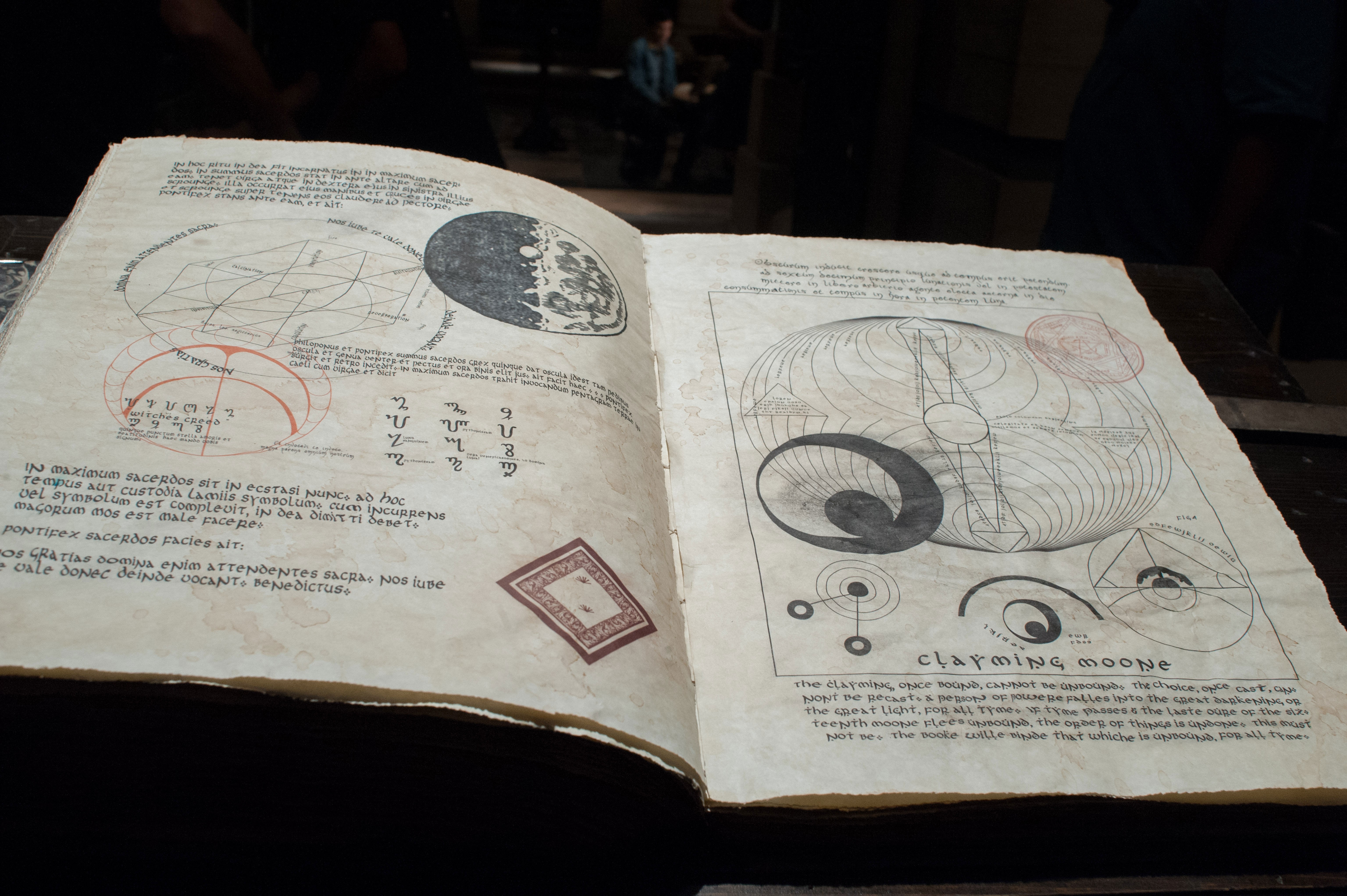 美丽生灵剧照的剧照