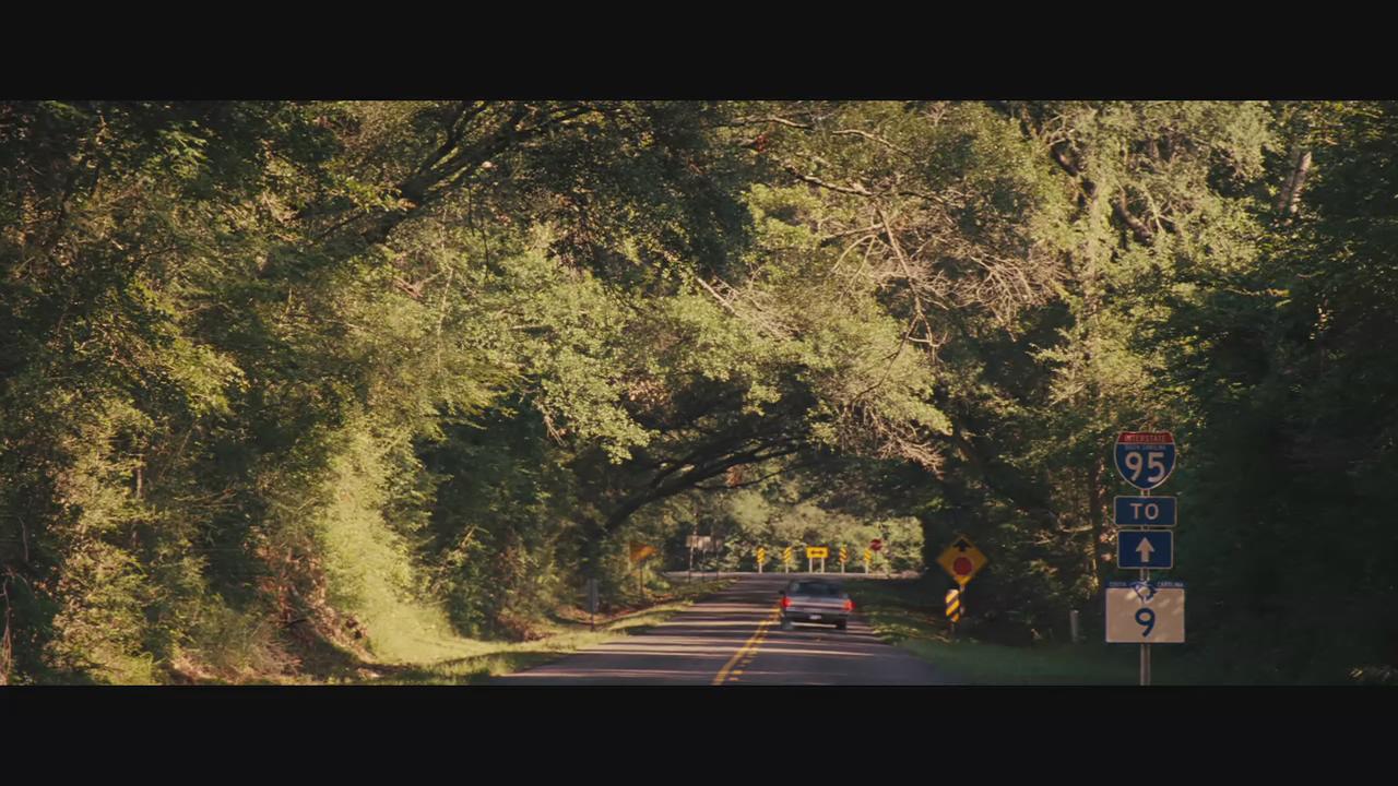 美丽生灵剧照的剧照