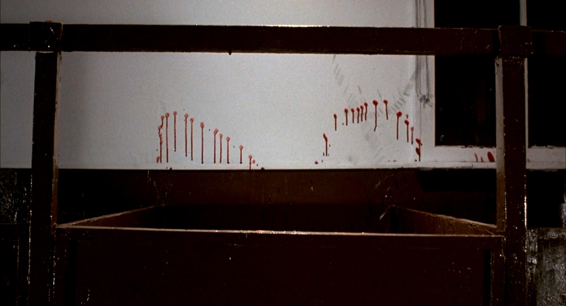 脑残剧照的剧照