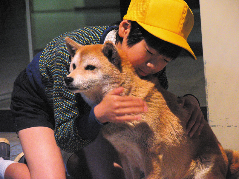 狗狗心事剧照的剧照