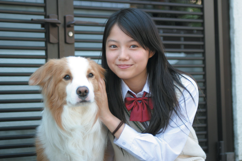 狗狗心事剧照的剧照