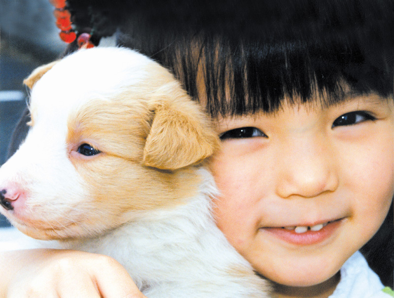 狗狗心事剧照的剧照