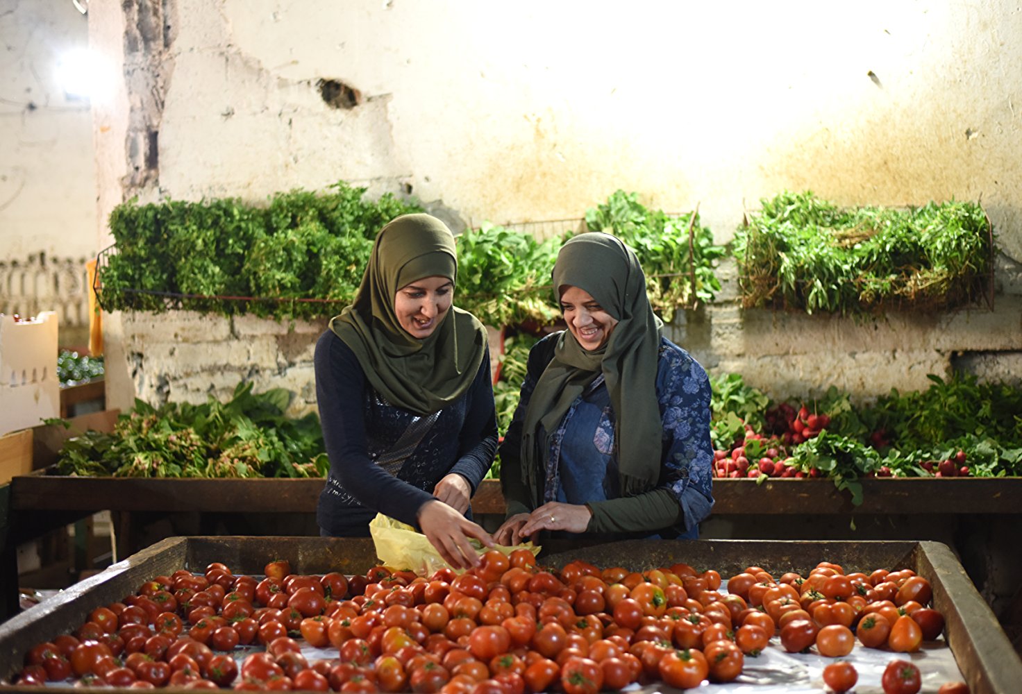 索弗拉剧照的剧照