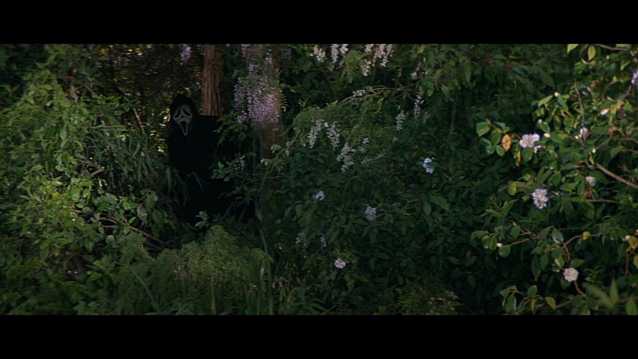 惊声尖叫剧照的剧照