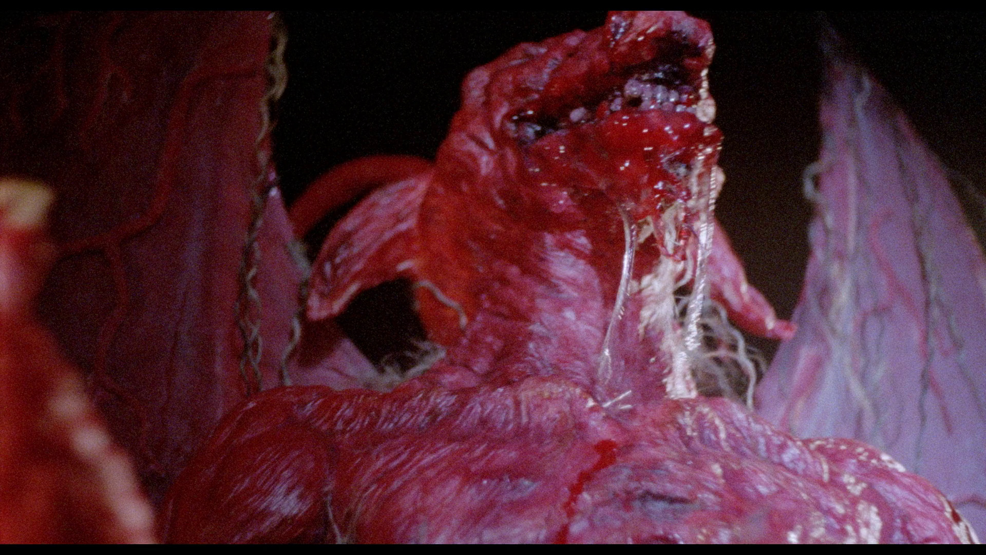 恐怖大师剧照的剧照