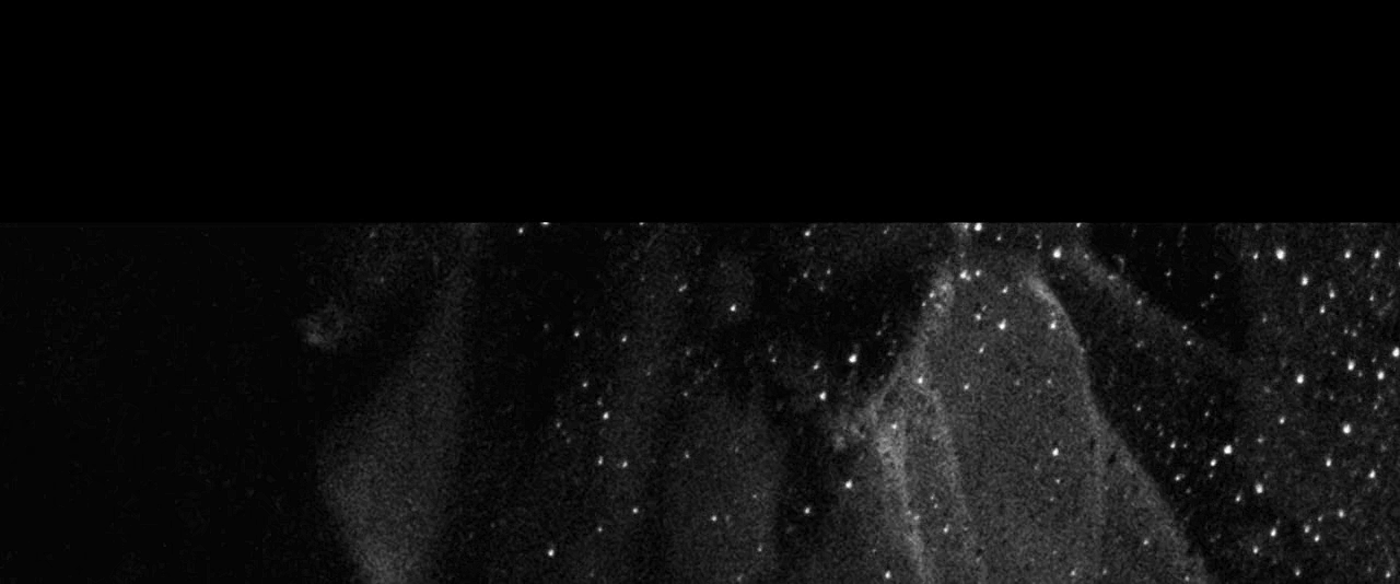 送报男孩剧照的剧照