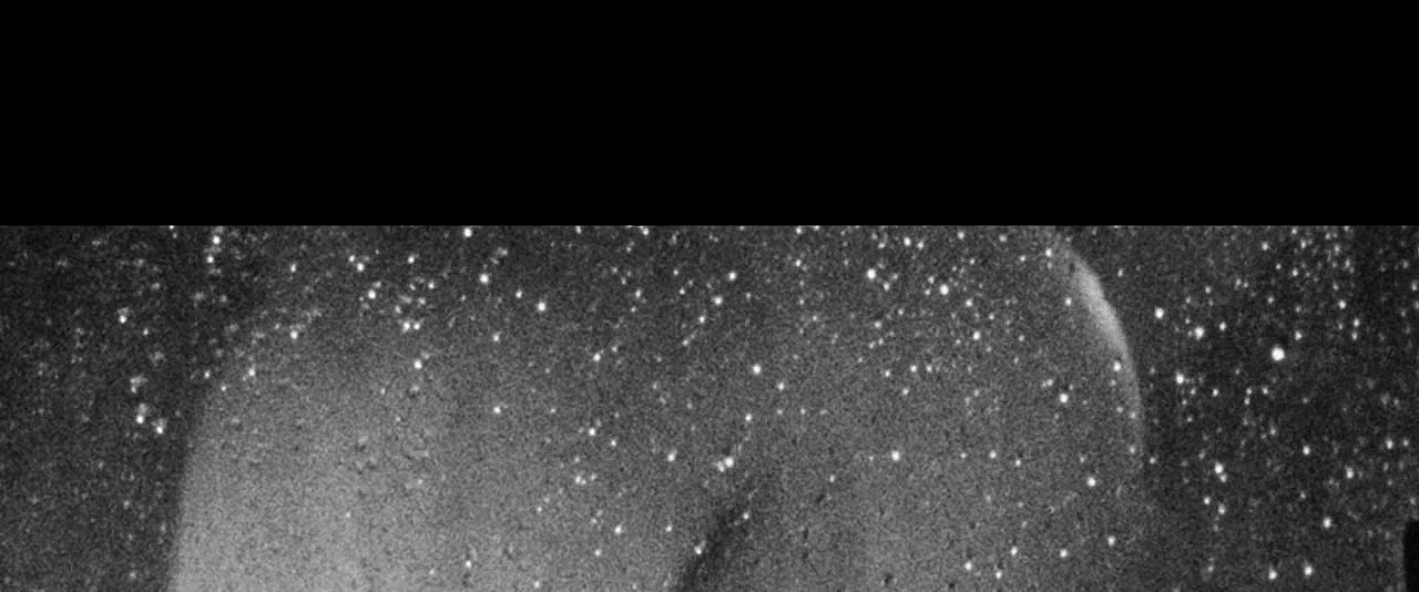 送报男孩剧照的剧照